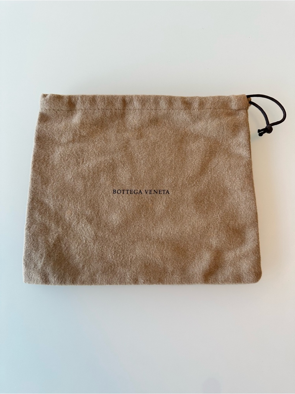 Bottega Veneta Suede Dust Bag in Tan